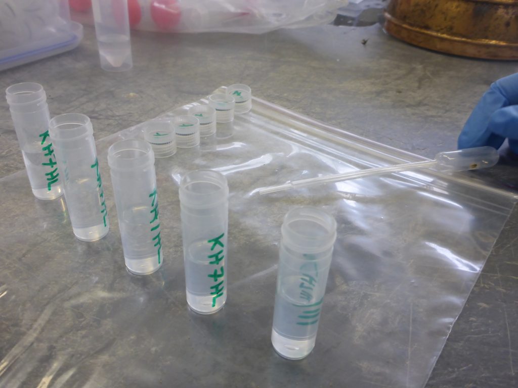 processing of DNA samples from scat